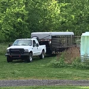 Meet your Posher, Carter